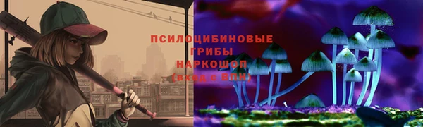 сатива Куйбышев