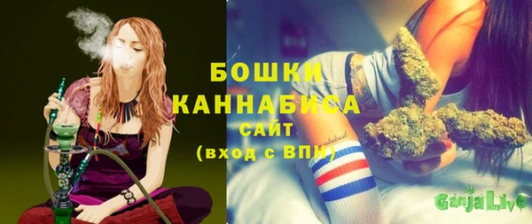 мяу мяу мука Коряжма