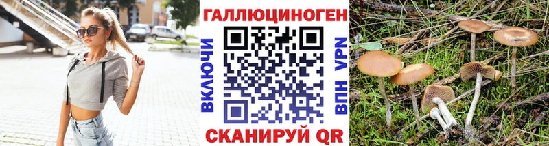Псилоцибиновые грибы MAGIC MUSHROOMS  гидра зеркало  Ленинск 