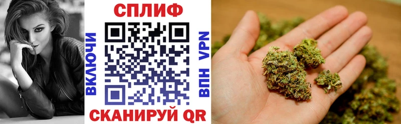 Канабис семена OMG ссылки Ленинск